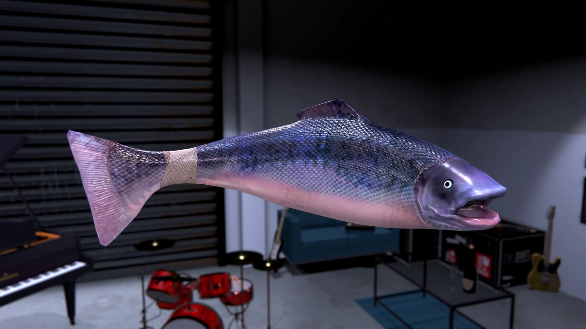 Big Wet Fish Hotel R'n'R Wiki Fandom