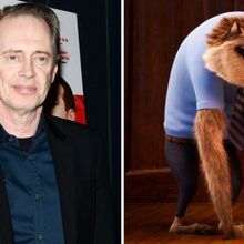 Steve Buscemi Hotel Transylvania Wiki Fandom Был ли этот ответ полезен? steve buscemi hotel transylvania wiki