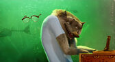 Wayne singing with .