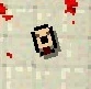 A Guard's decapitated head.