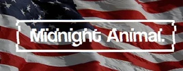 MidnightAnimal