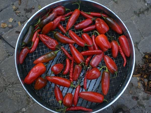 DIY Chipotle peppers