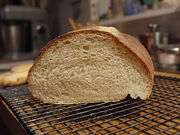 Italian Bread - Crumb