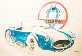 CobraOA