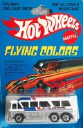 Flying Colors International 1980