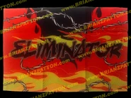 Eliminator Flag.jpg (163 KB) Eliminator Flag (www.brianzpatton.com)