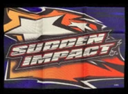 Sudden Impact flag.jpg (56 KB) Sudden Impact Flag (www.brianzpatton.com)