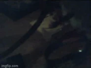 Green Scion XB circa August '14