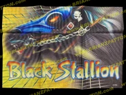 Black Stallion Flag.jpg (229 KB) Black Stallion Flag (www.brianzpatton.com)