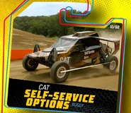 Real-life Buggy in Caterpillar livery