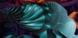 El Zendrill