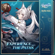 Soundtrack Artwork Experience the Paths Vol. 3