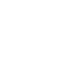 Chapter Companion