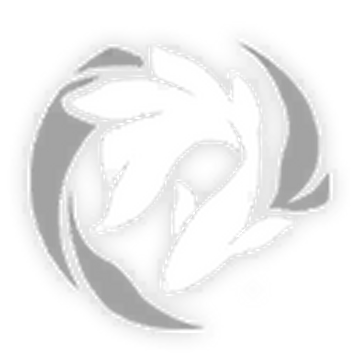 Dreamdiver Honkai Star Rail Wiki Fandom