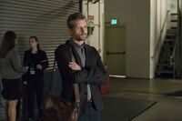 House of card staffel 5 - Die besten House of card staffel 5 verglichen