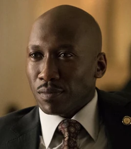 Remy Danton