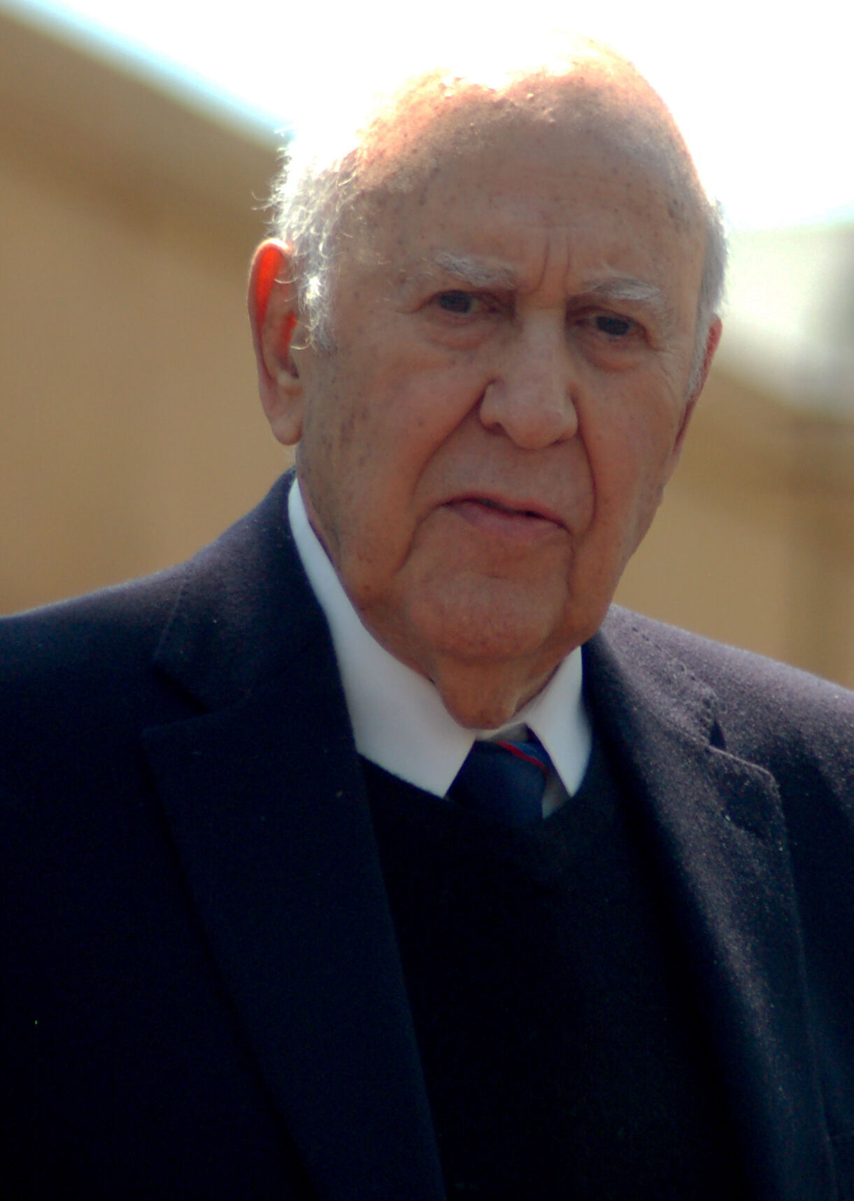 No One Loves 'The Net' More Than Carl Reiner