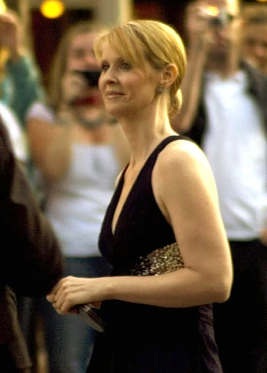 Cynthia Nixon Staneky adj