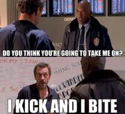 Kickandbite.jpg
