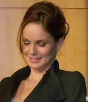 Sarah Wayne Callies 2