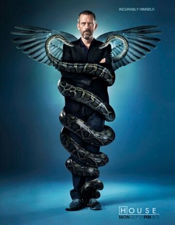 House md season 6 episode sales 6 watch online