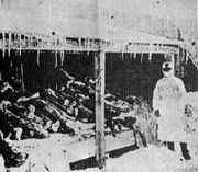 Picture of Manchurian Plague victims in 1910 -1911 (1)