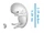 Embryo