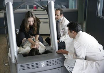 Lucky Thirteen | House Wiki | Fandom