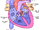 Aortic valve