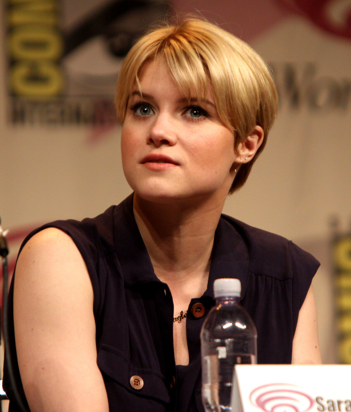Sarah Jones House Wiki Fandom