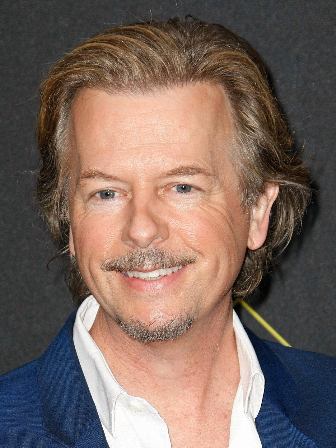 David Spade (actor) | Housebroken Wiki | Fandom