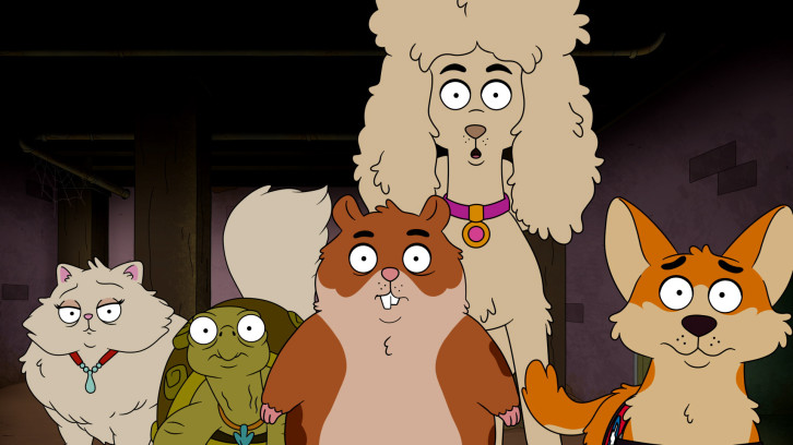 Watch Scaredy Cats Season 1 Episode 7 - Winnifred the Wise Online Now