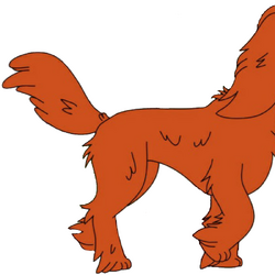 House broken dogs sales