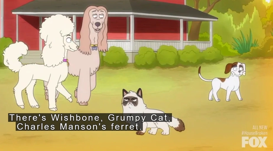 Grumpy Cat Housebroken Wiki Fandom