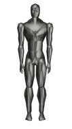 Znjikken1Model