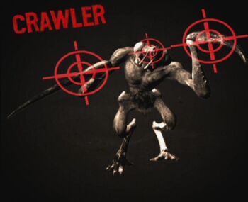 Crawler Weakpoints