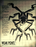 Texture for Hermit's weak point diagram.