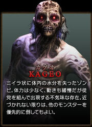 Hod3 enemy kageo