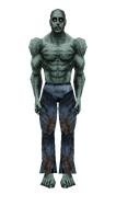ZnmachobModel