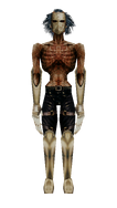 ZnkageyModel