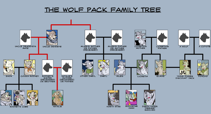 The Wolf Pack family tree (Note: Red lines represent unconfirmed familial relationships)