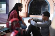 6x13 43