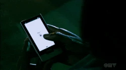 Annalise llama a VIP Results.