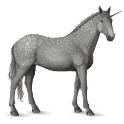 Unicorn | Howrse Wiki | Fandom