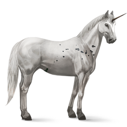 Unicorn | Howrse Wiki | Fandom