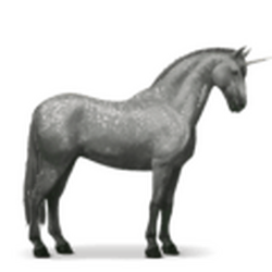 Unicorn | Howrse Wiki | Fandom