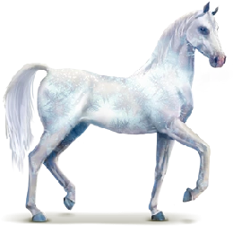 Frost | Howrse Wiki | Fandom