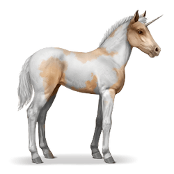 Paint Horse Howrse Wiki Fandom