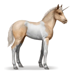 Chincoteague Pony Howrse Wiki Fandom The average height of a chincoteague pony is between 12 and 13 hands (any horse that stands less than. chincoteague pony howrse wiki fandom