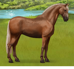 purebred spanish horse howrse